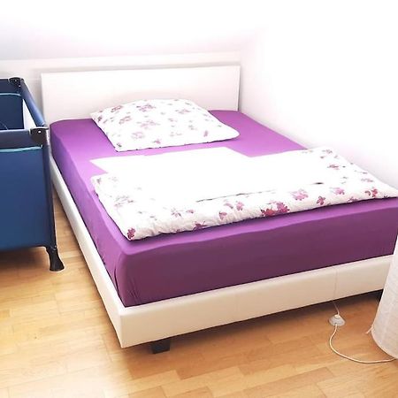 Familienfreundliche Apartments Am Park Вюрцбург Екстериор снимка