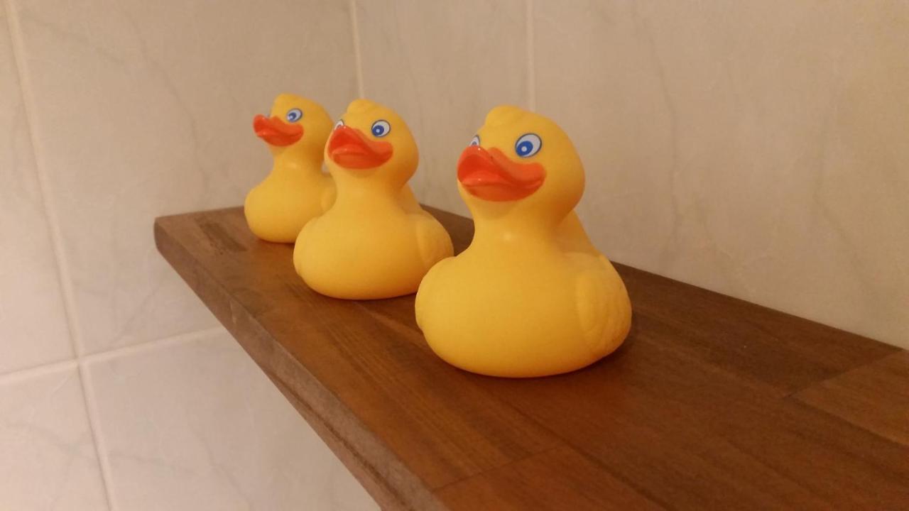 Familienfreundliche Apartments Am Park Вюрцбург Екстериор снимка