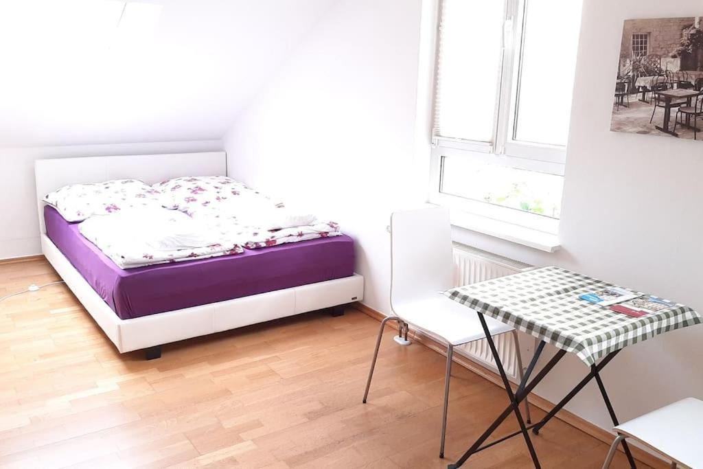 Familienfreundliche Apartments Am Park Вюрцбург Екстериор снимка