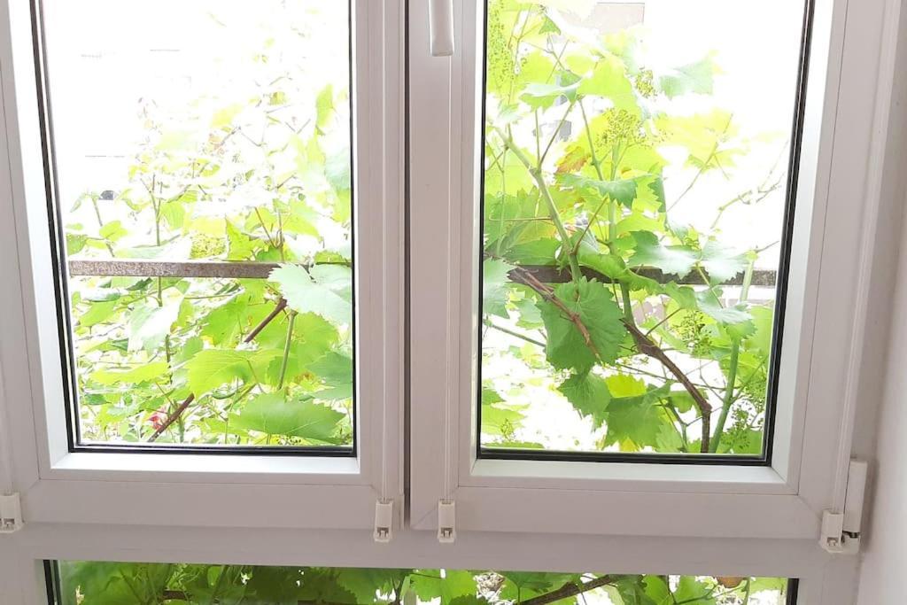 Familienfreundliche Apartments Am Park Вюрцбург Екстериор снимка