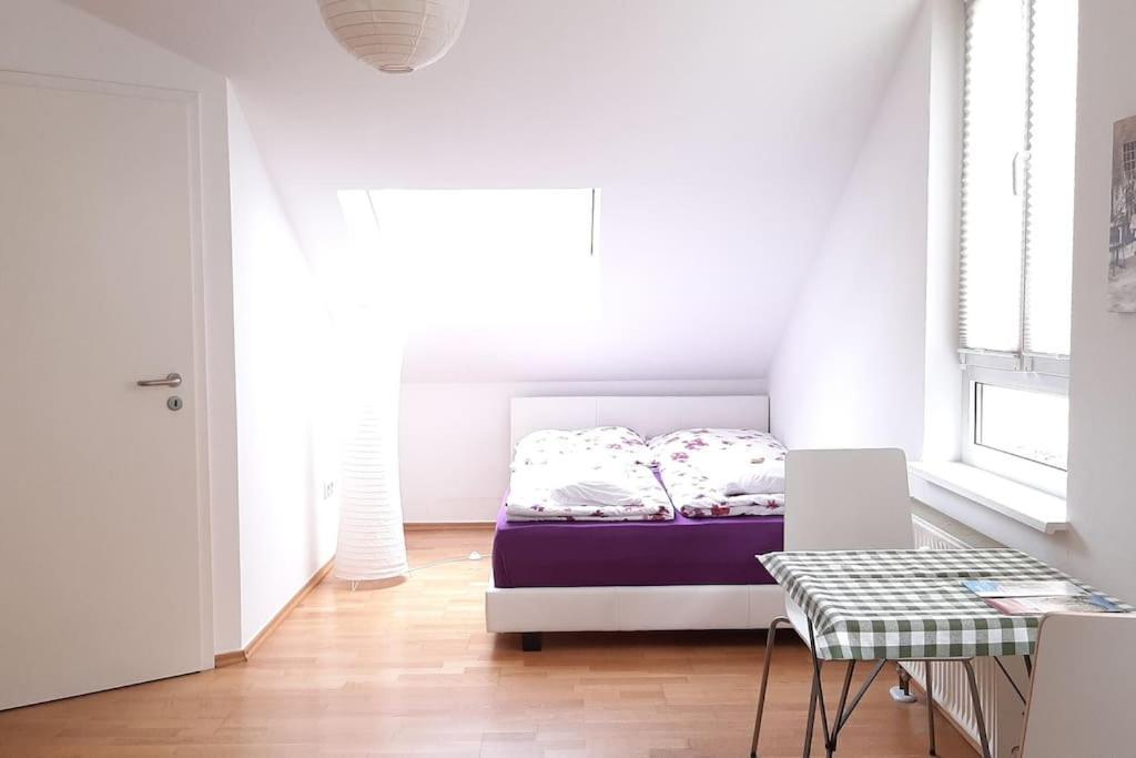 Familienfreundliche Apartments Am Park Вюрцбург Екстериор снимка